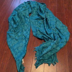 Teal Coach Scarf